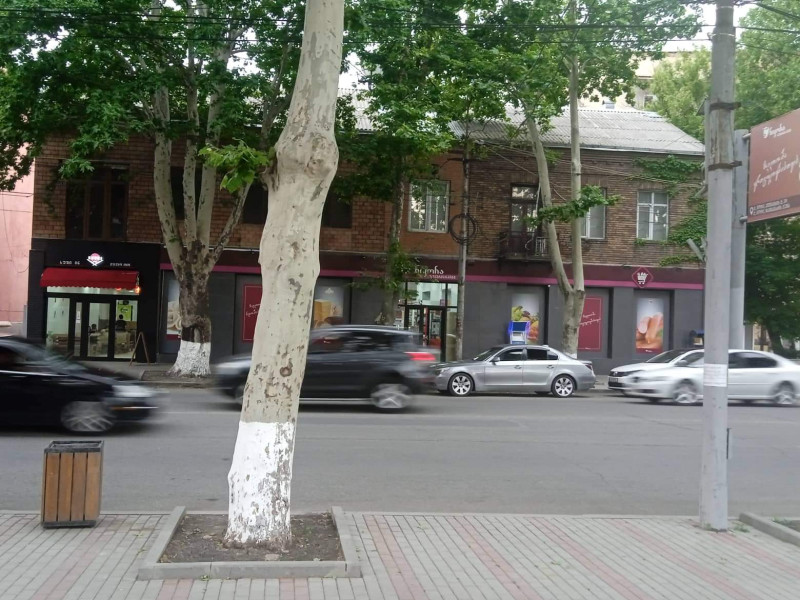 ქ. გორი, ჭავჭავაძის ქ.26ა. #270
